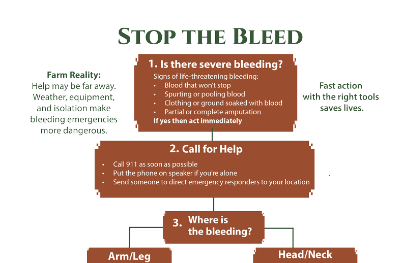 Rooted in Safety Workbook - Image 5